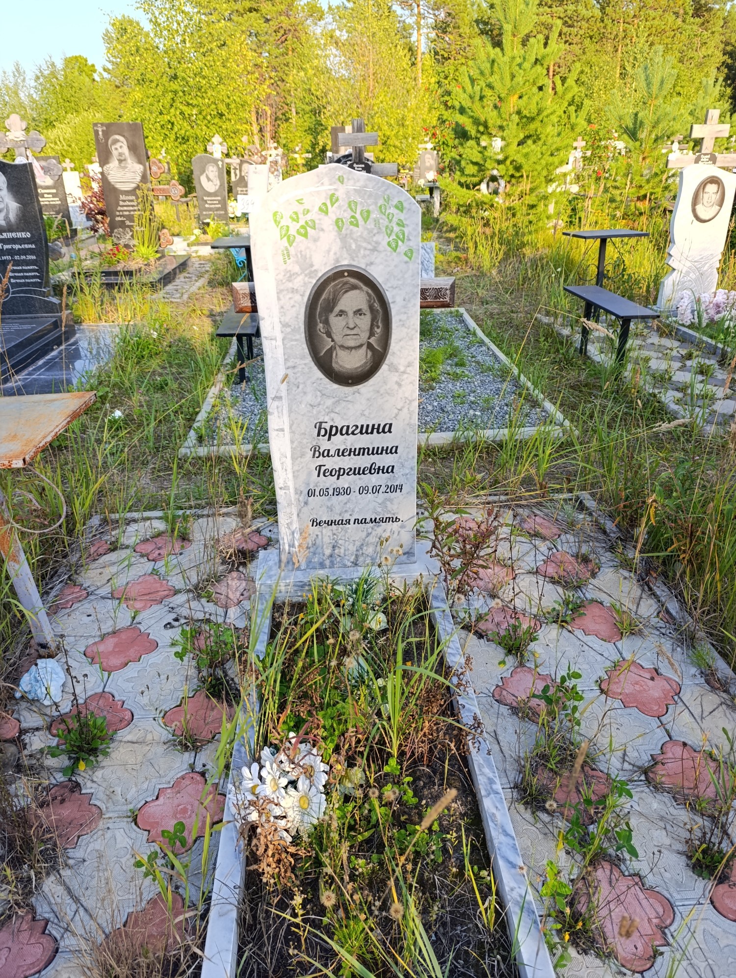 Брагина Валентина Георгиевна