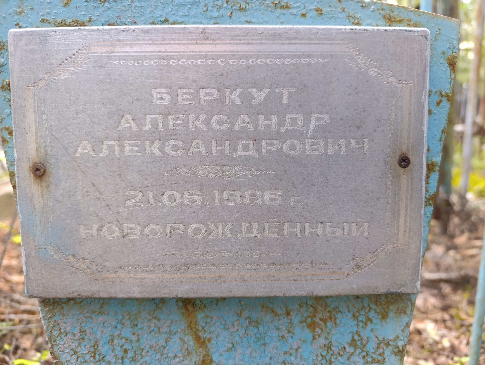 Беркут Александр Александрович