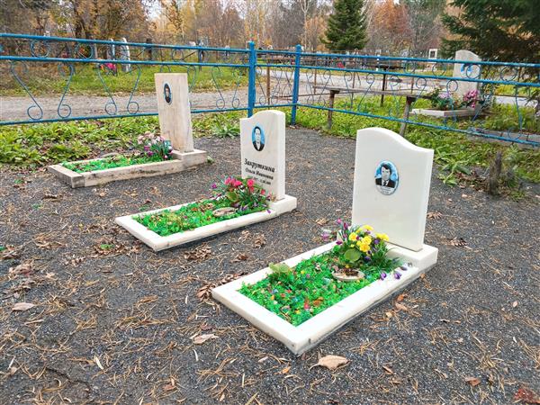 Кок Степан Николаевич