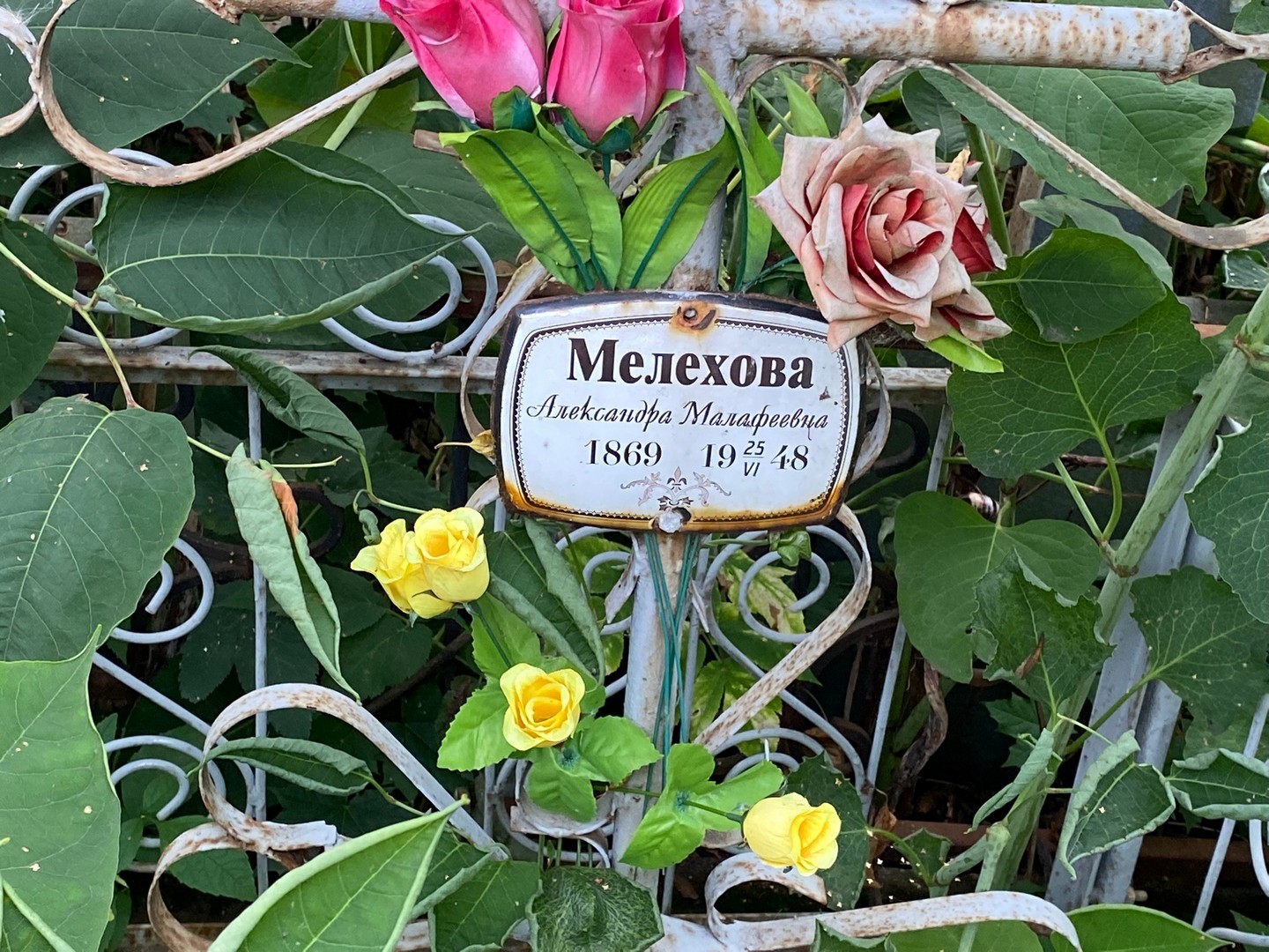 Мелехова Александра Малафеевна