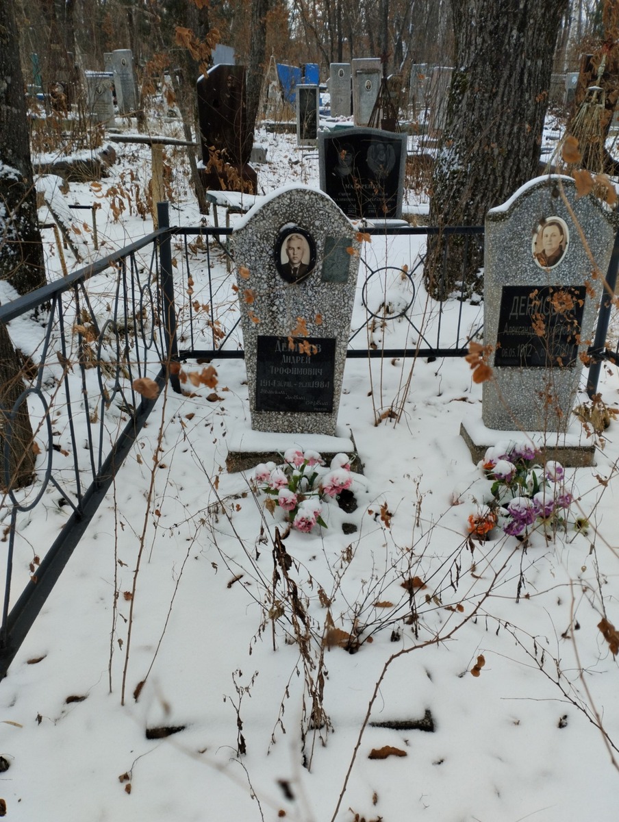 Денисов Андрей Трофимович