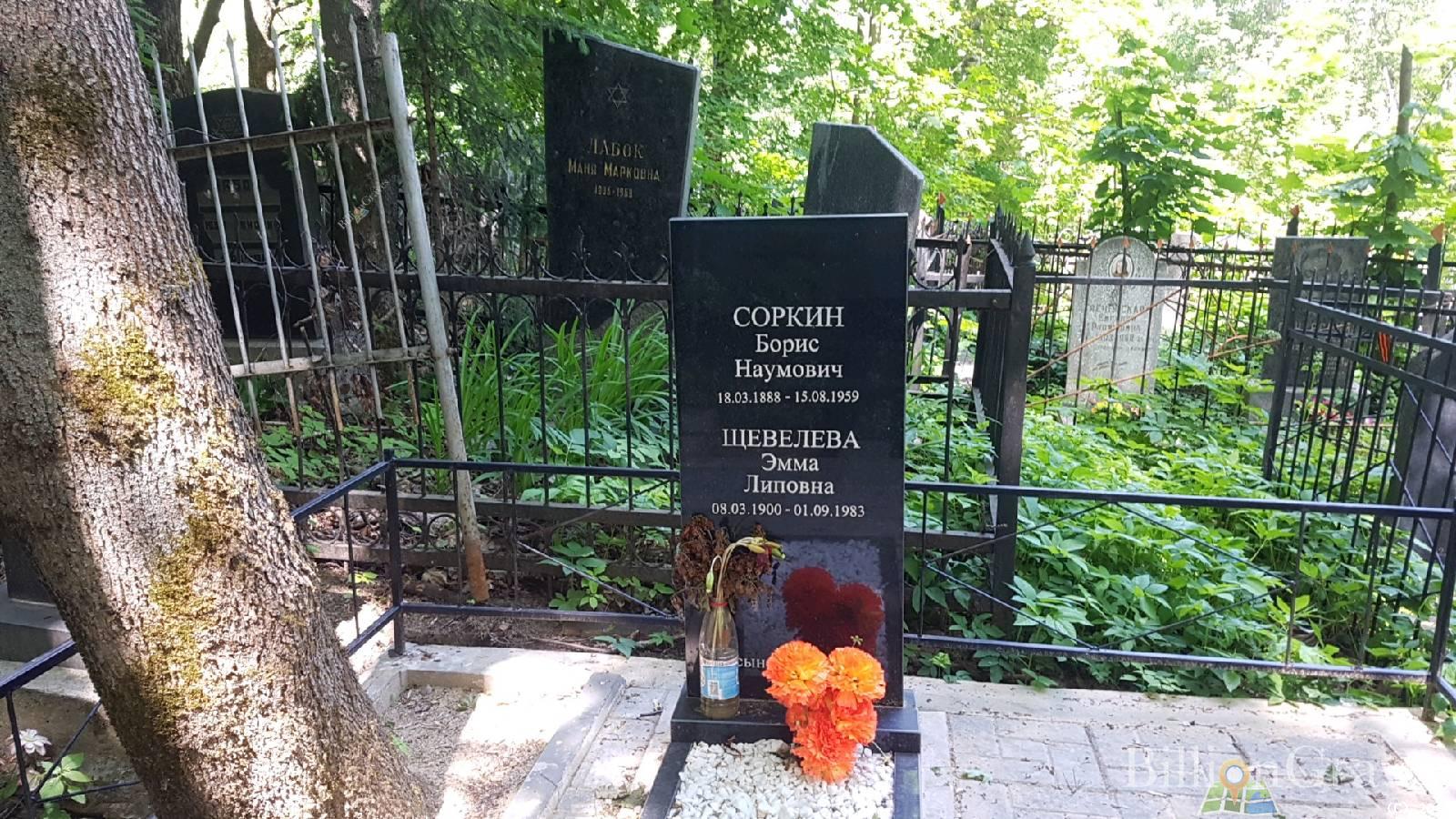 Щевелева Эмма Липовна