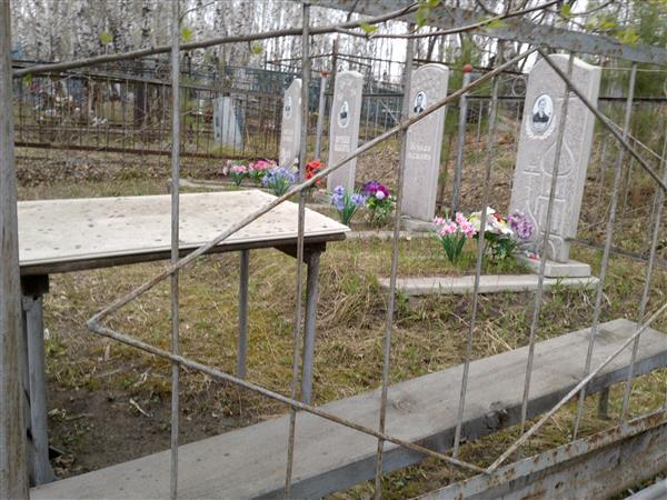 Емельяненко Владимир Васильевич