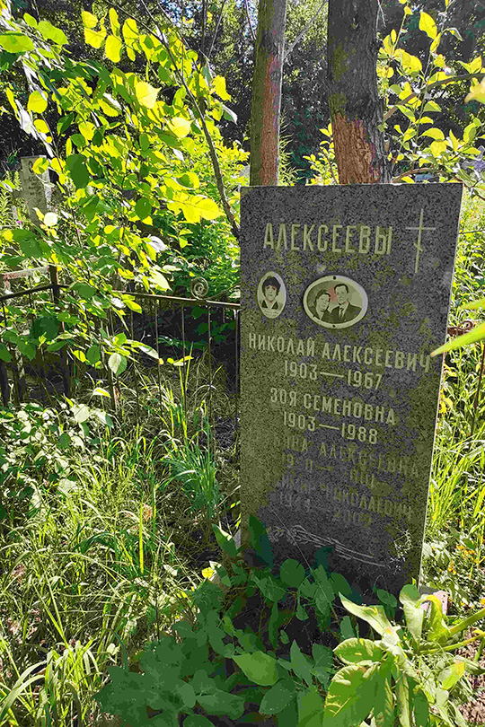 Алексеев Николай Алексеевич