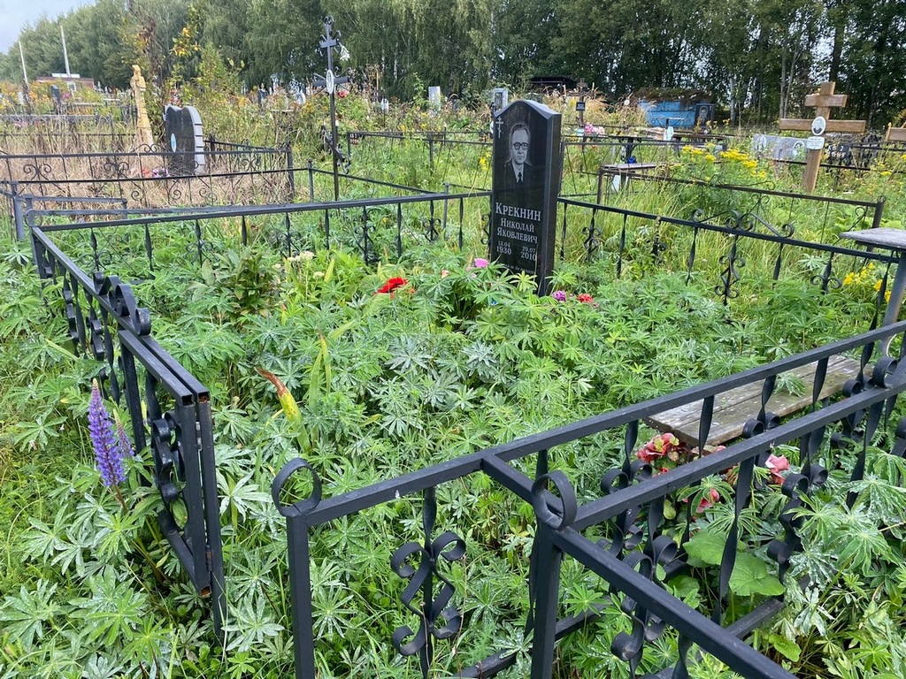 Крекнин Николай Яковлевич