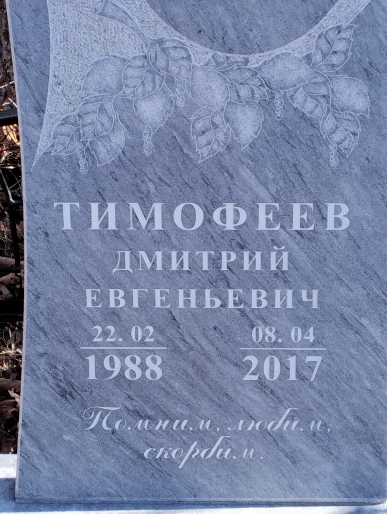 Тимофеев Дмитрий Евгеньевич