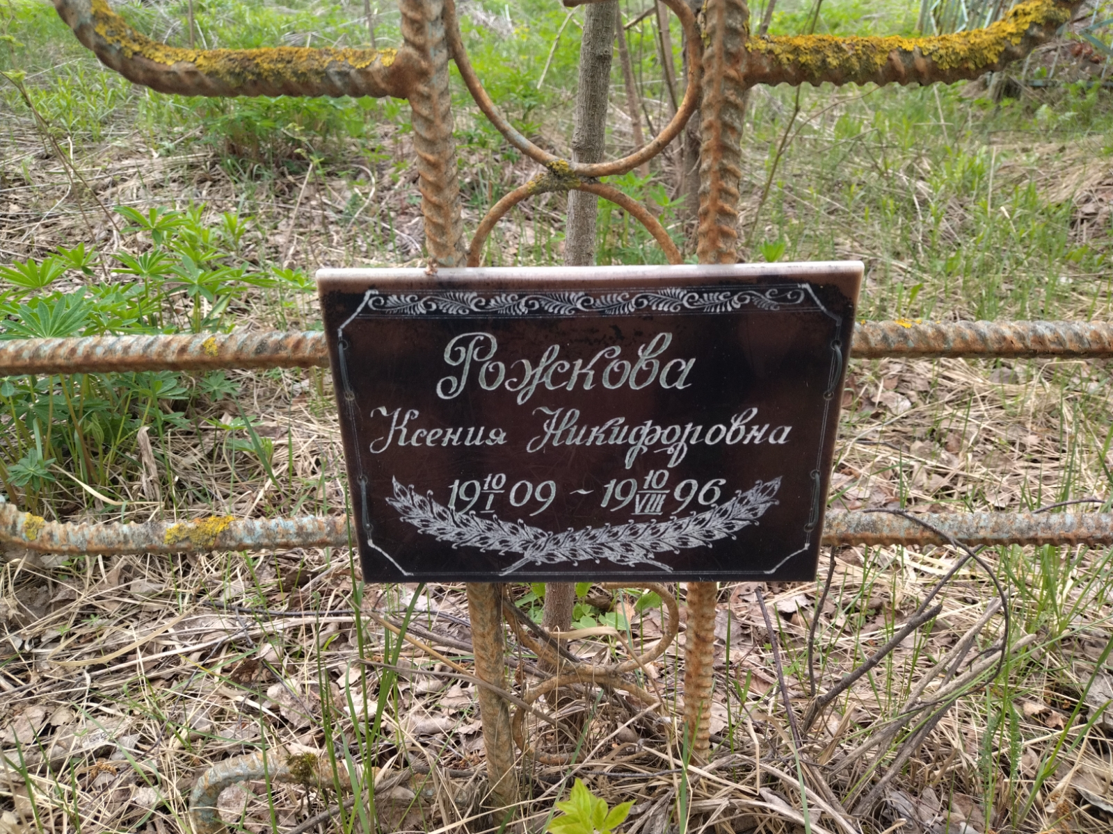 Рожкова Ксения Никифоровна