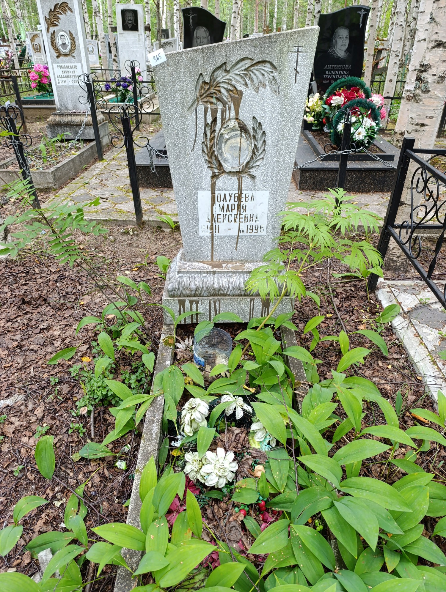 Голубева Мария Алексеевна
