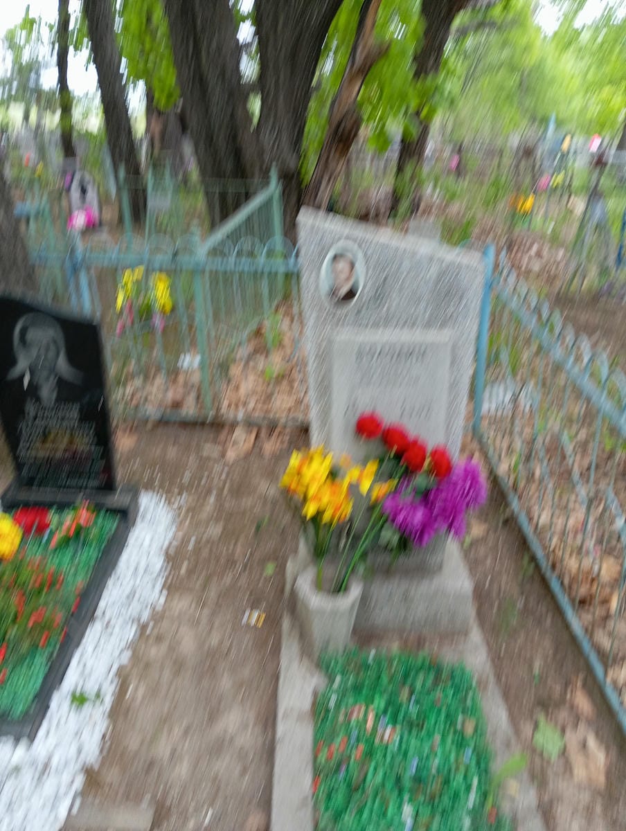 Володин Николай Андреевич