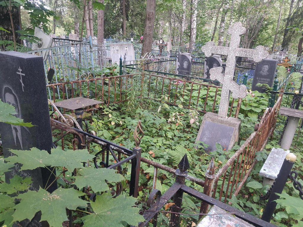 Шмелев Владимир Александрович