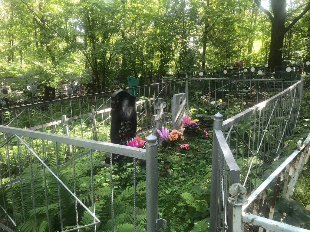 Шаров Михаил Николаевич