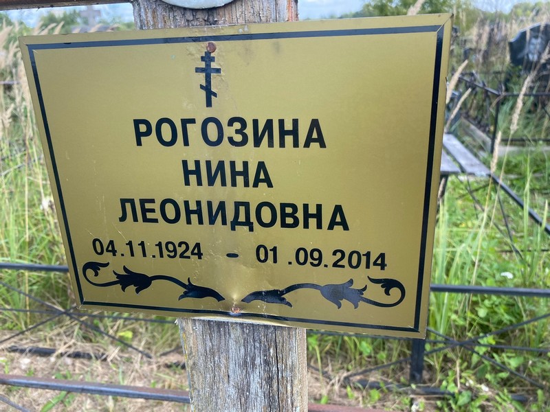 Рогозина