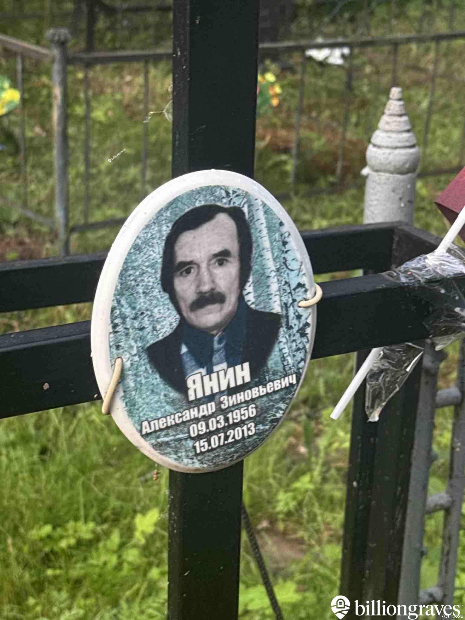 Янин Александр Зиновьевич