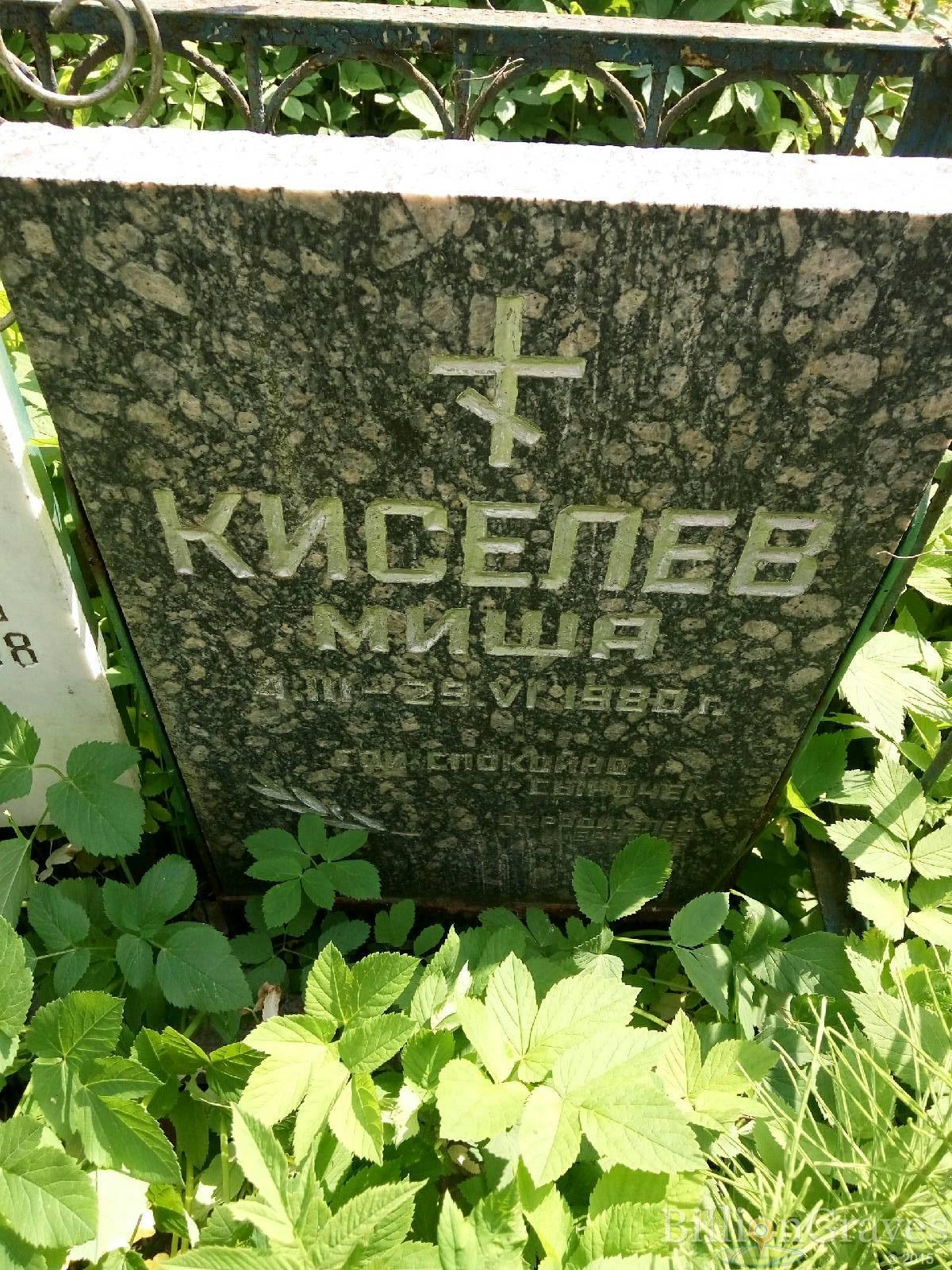 киселев михаил