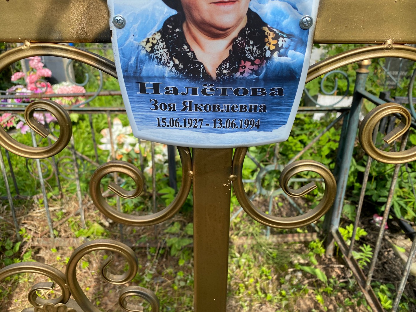 Налетова