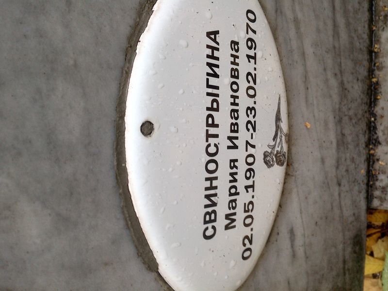 Свинострыгина