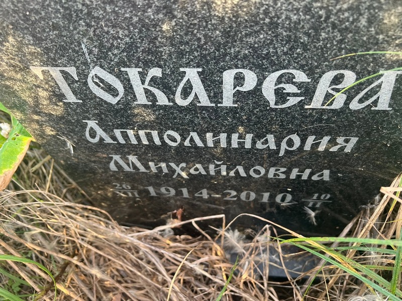 Апполинария Токарева Михайловна