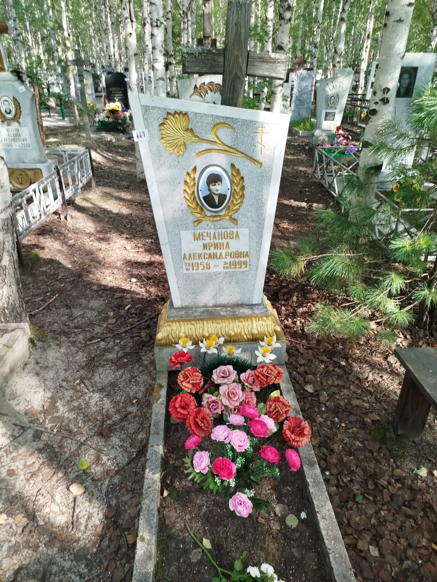 Мечанова Ирина Александровна