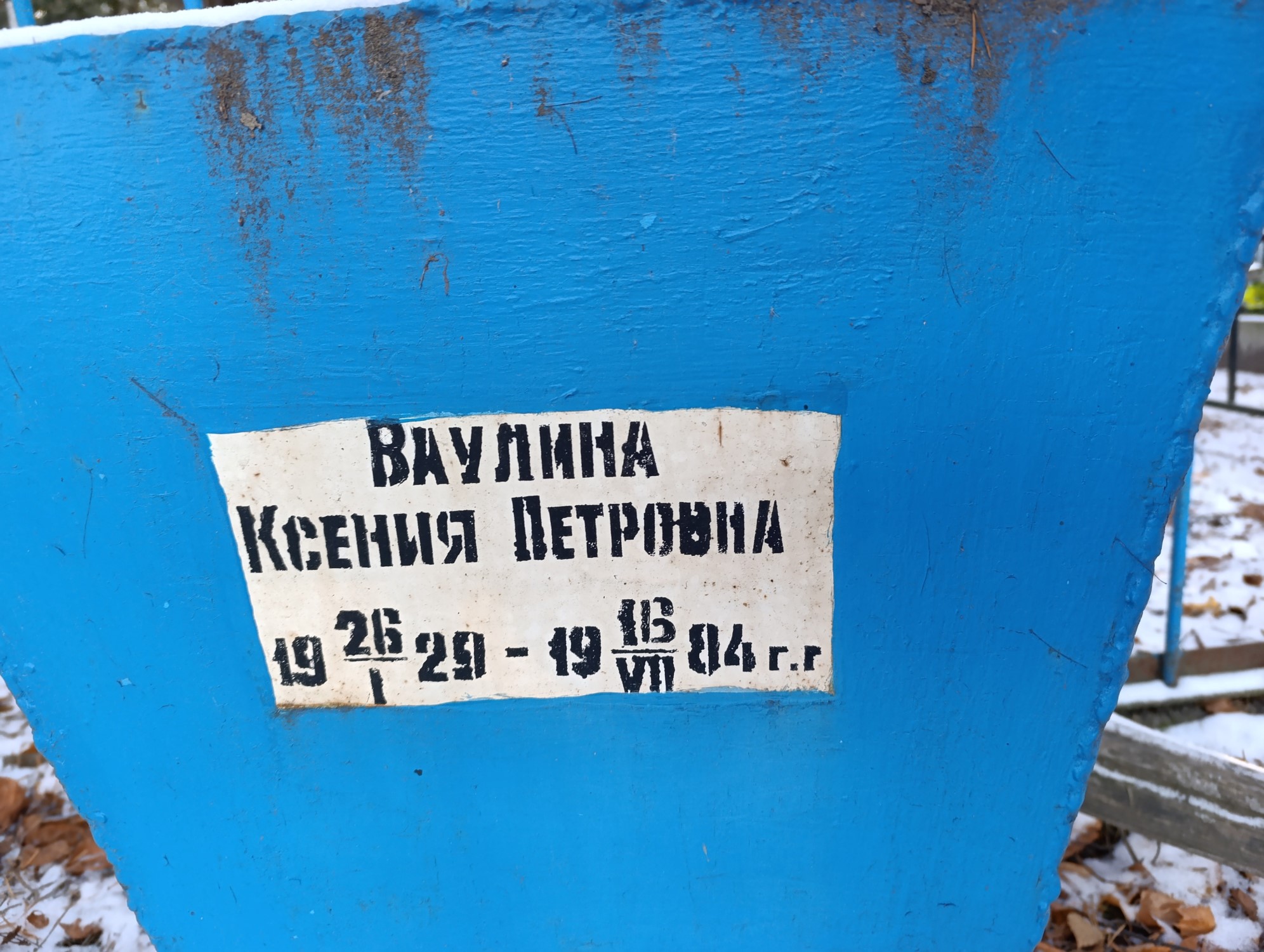 Ваулина Ксения Петровна