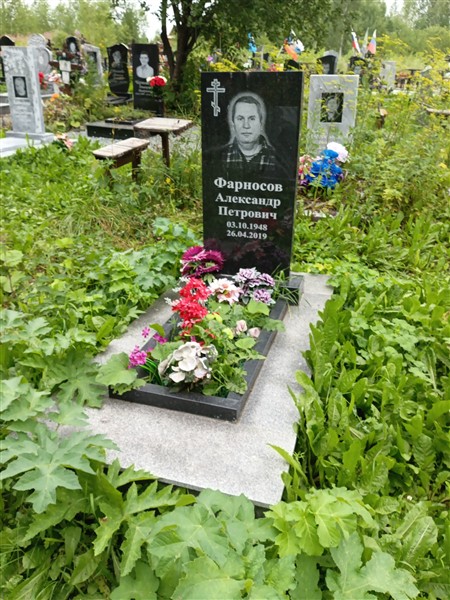 Фарносов Александр Петрович