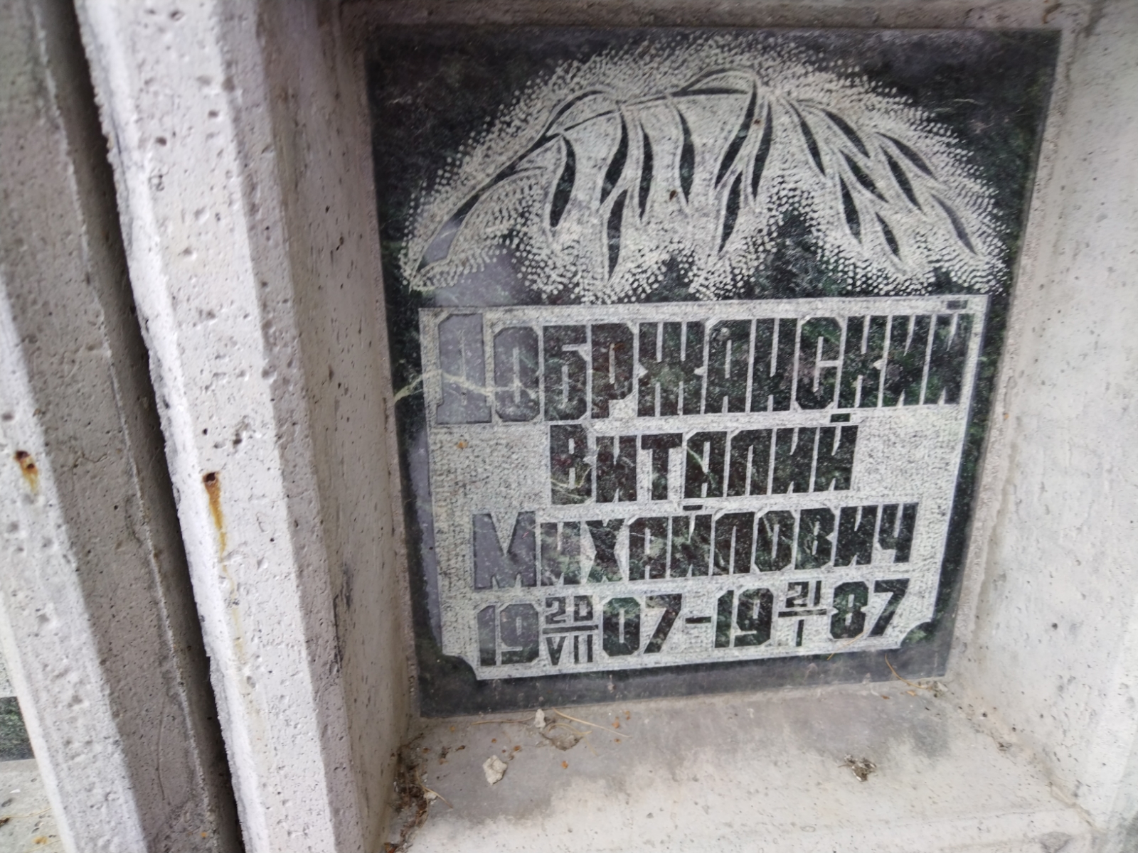 Добржанский Виталий Михайлович