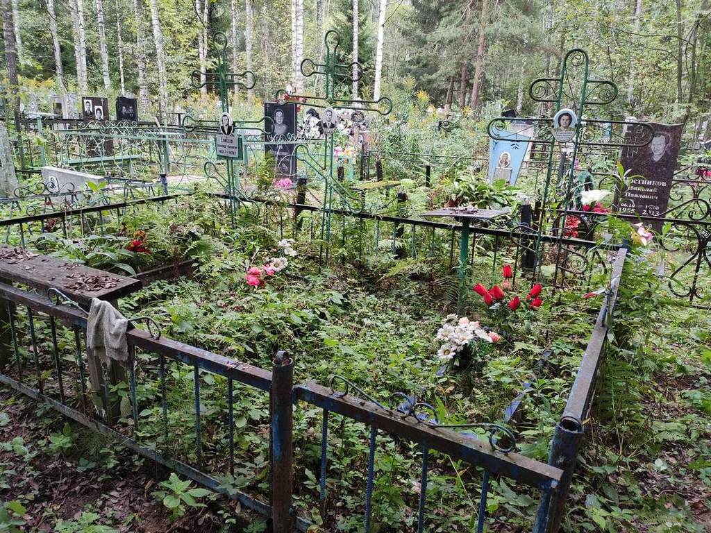 Елисеев Александр Николаевич