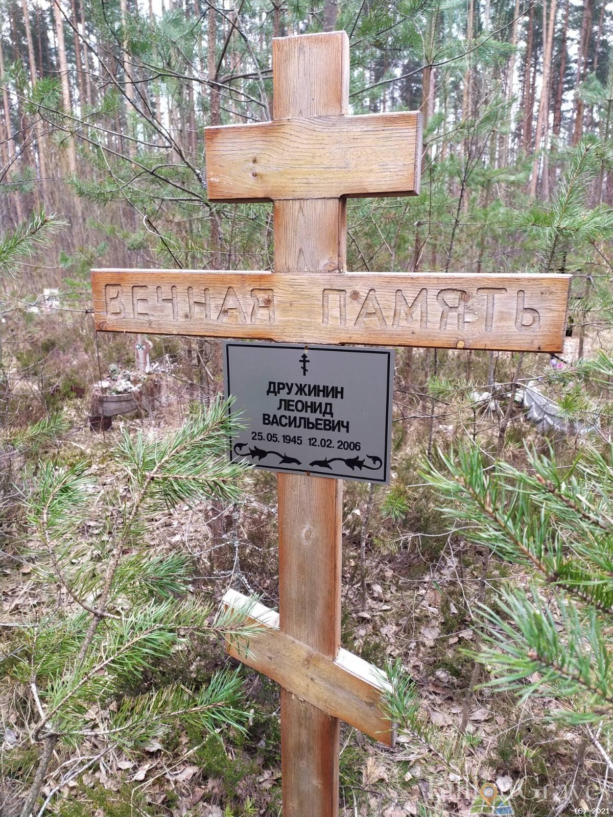 Дружинин Леонид Васильевич