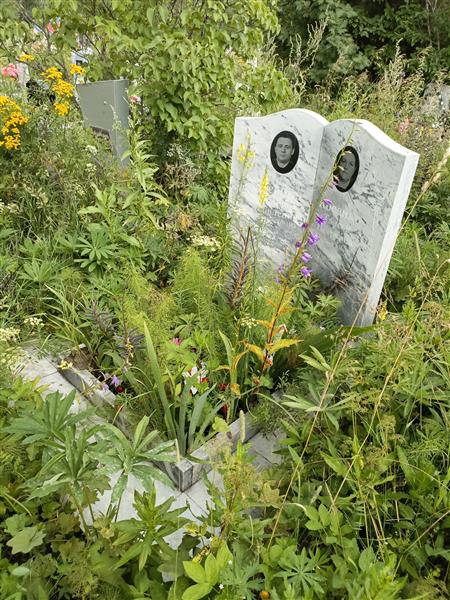 Косенко Николай Яковлевич