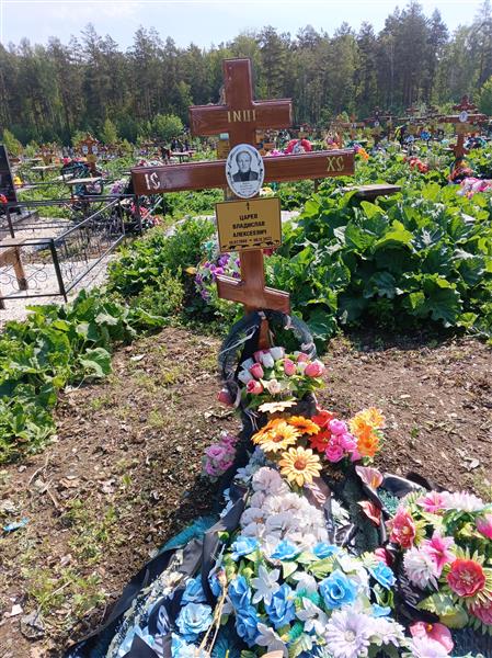 Царев Владислав Алексеевич