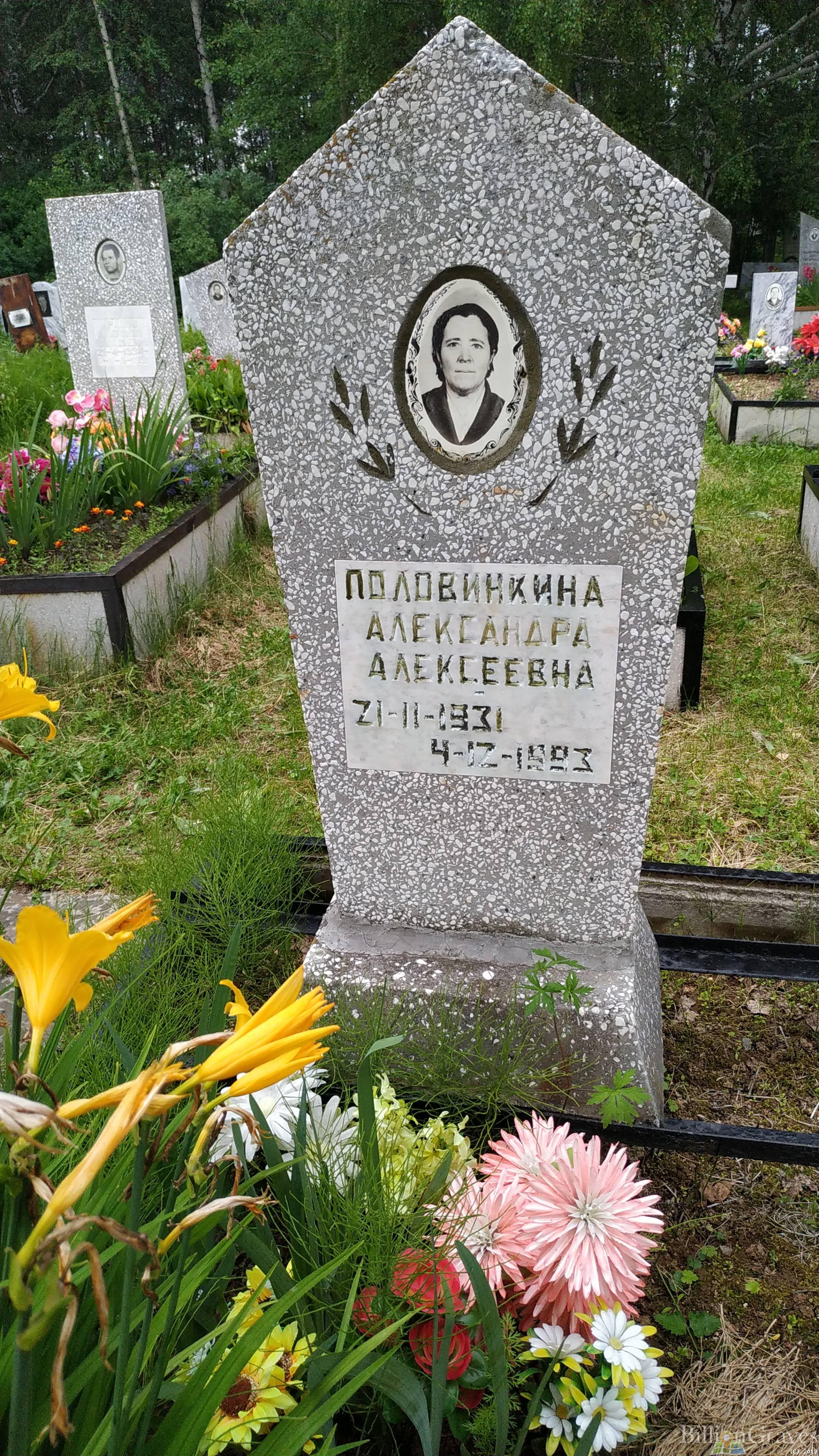 Половинкина Александра Алексеевна