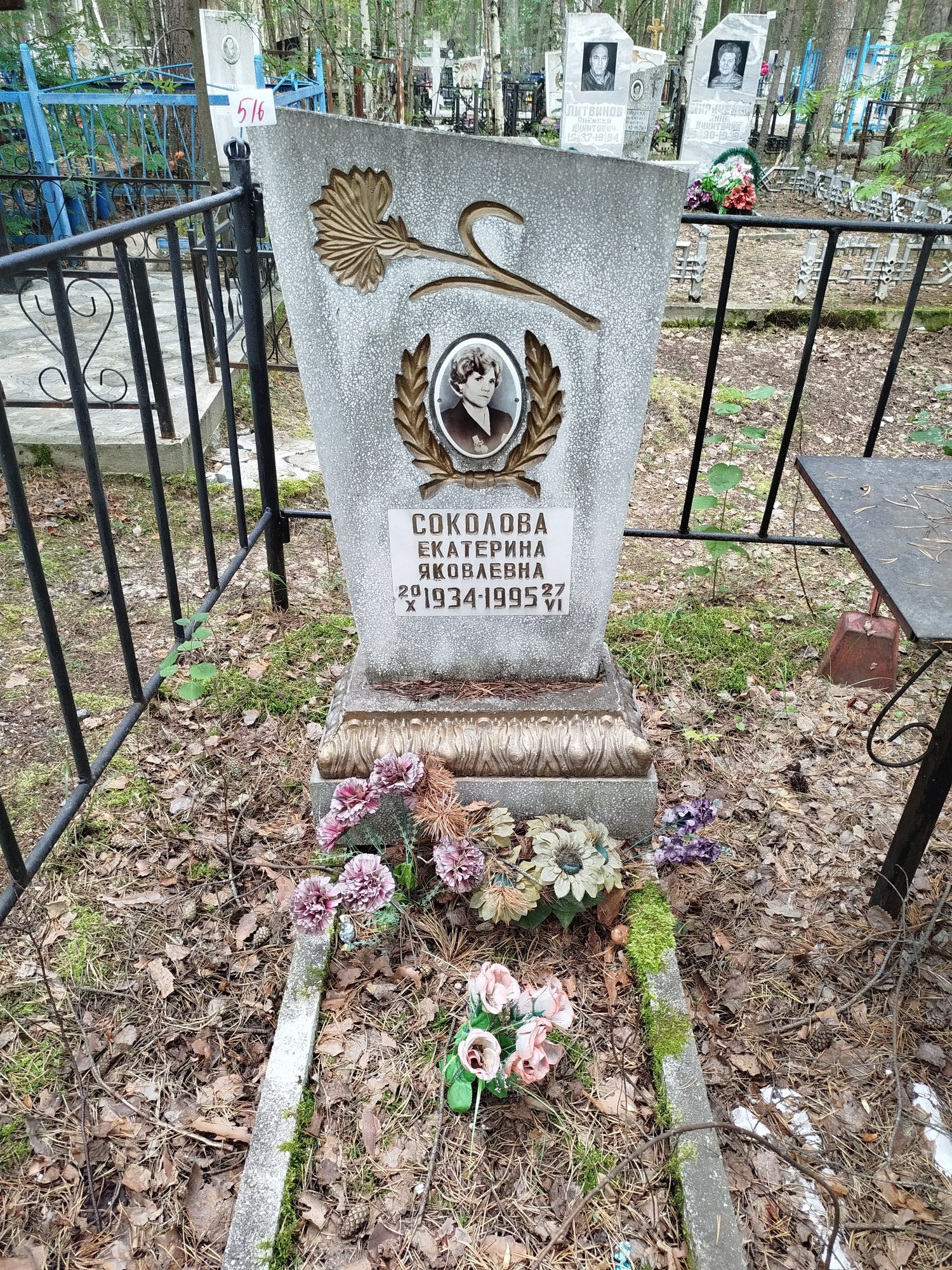 Соколова Екатерина Яковлевна