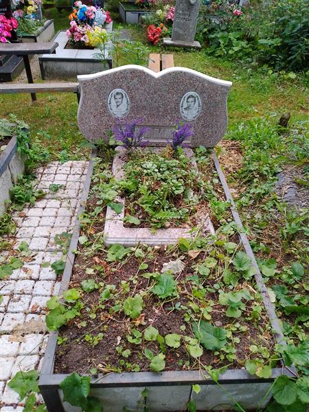 Онохин Александр Георгиевич