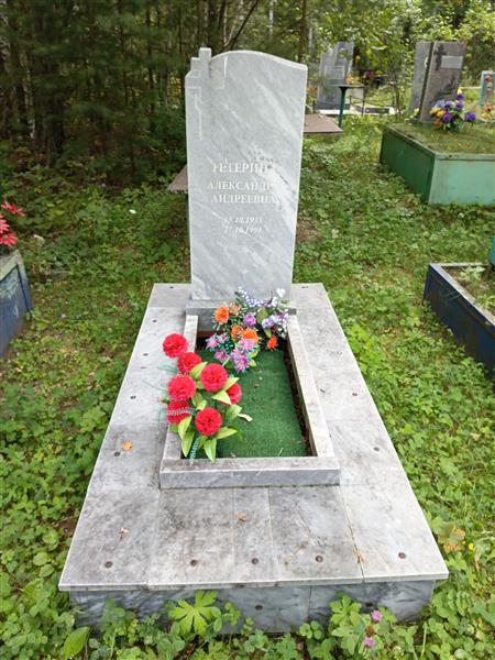 Тетерина Александра Андреевна