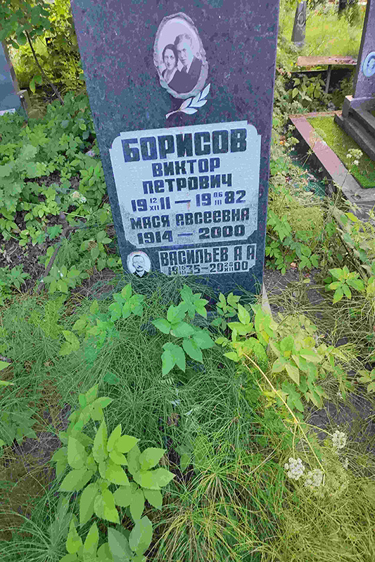 Борисов Виктор Петрович