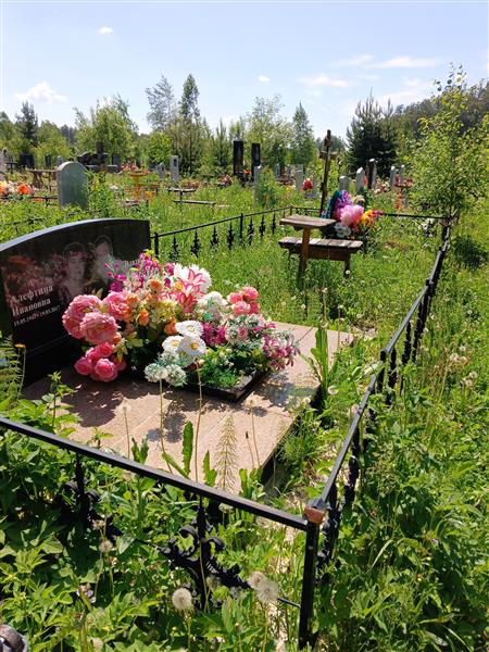 Петров Владимир Алексеевич