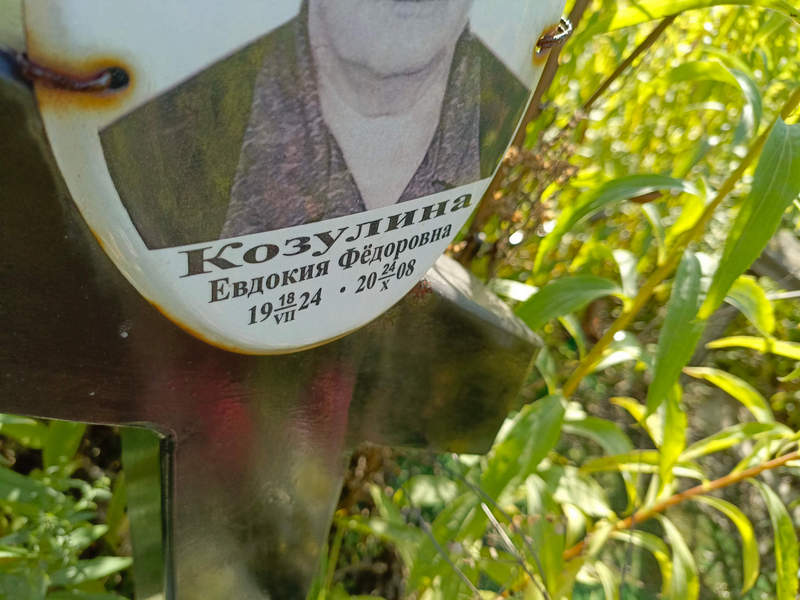 Козулина