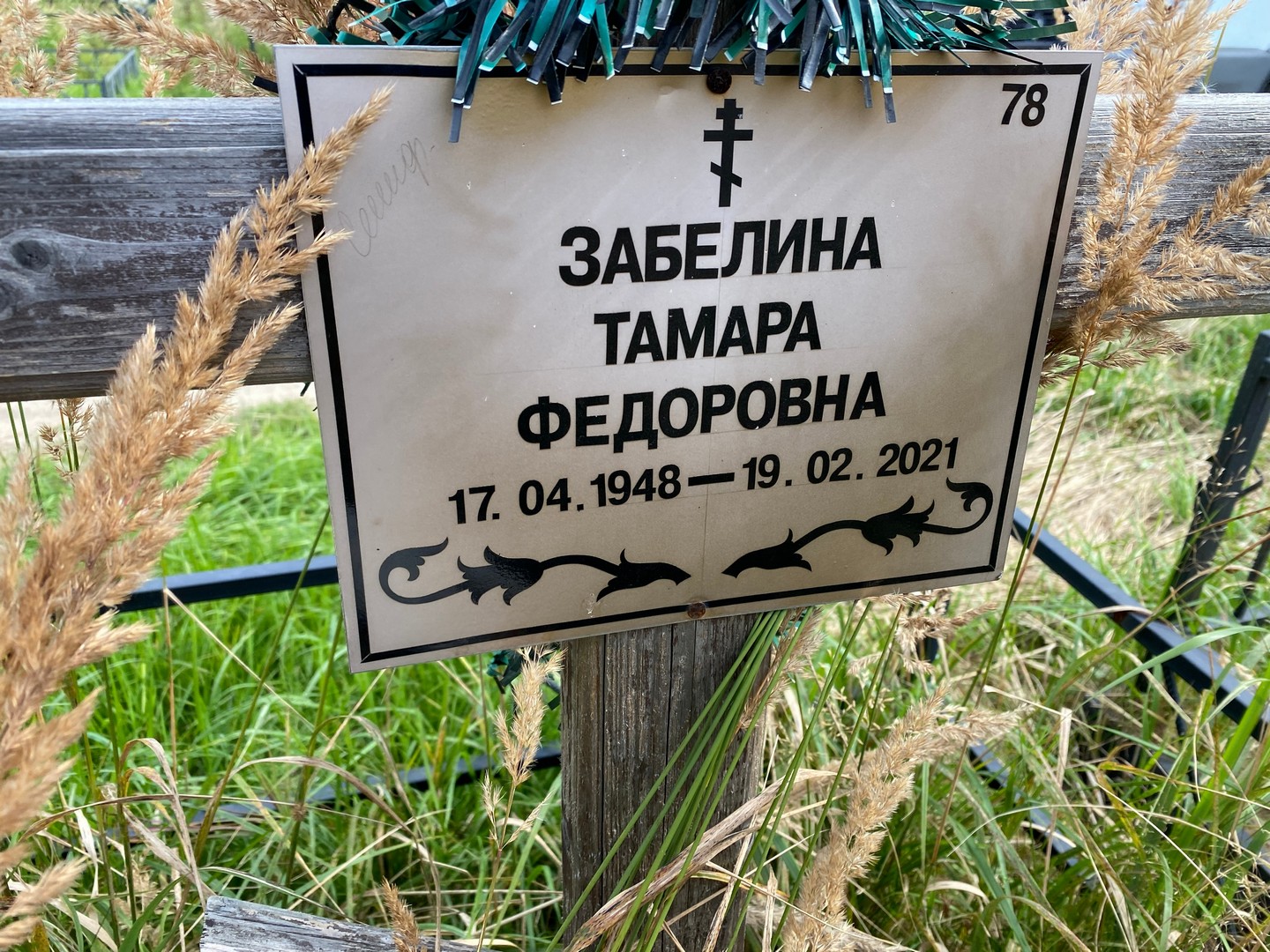 Забелина
