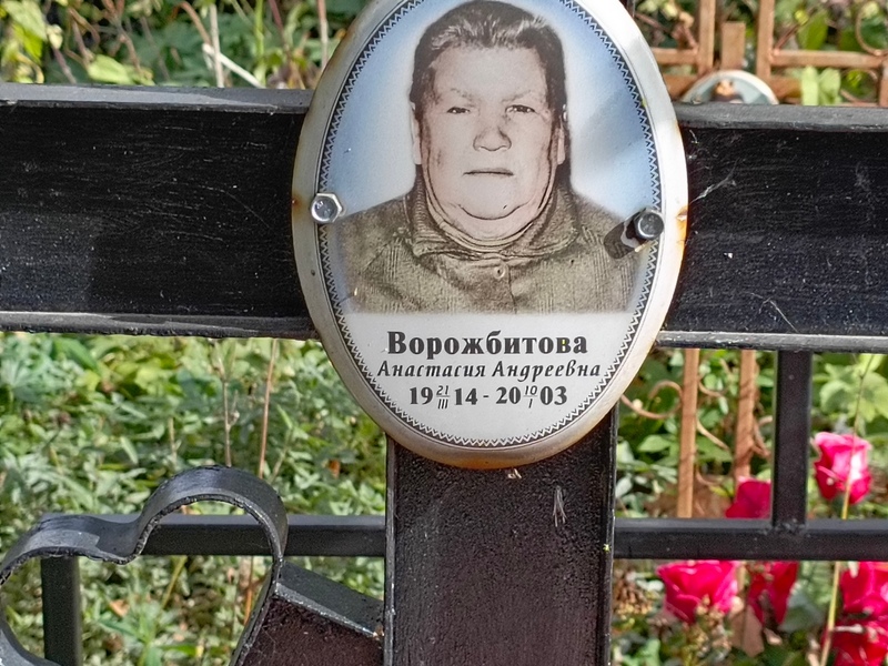 Ворожбитова Анастасия Андреевна