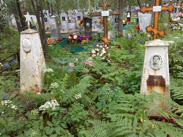 Букреева Елена Витальевна