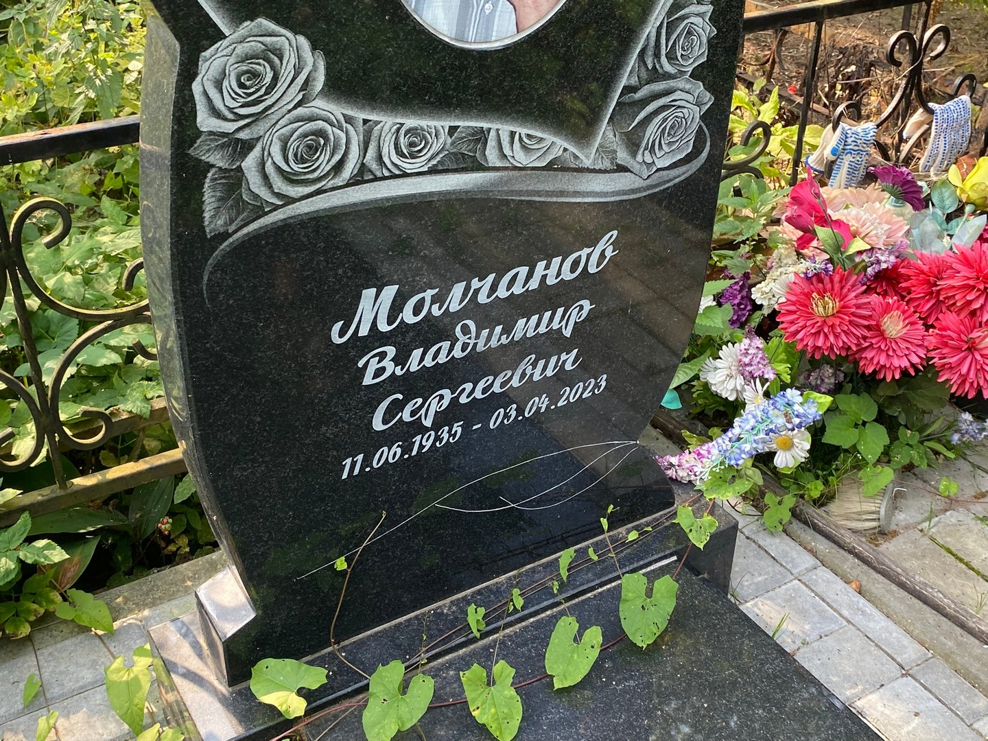 Молчанов