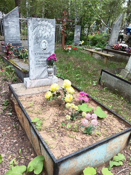 Сеногноева Юлия Степановна
