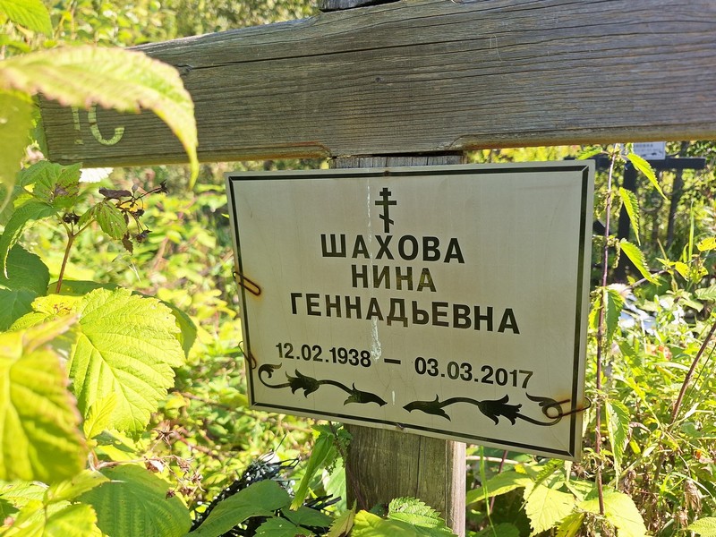Шахова