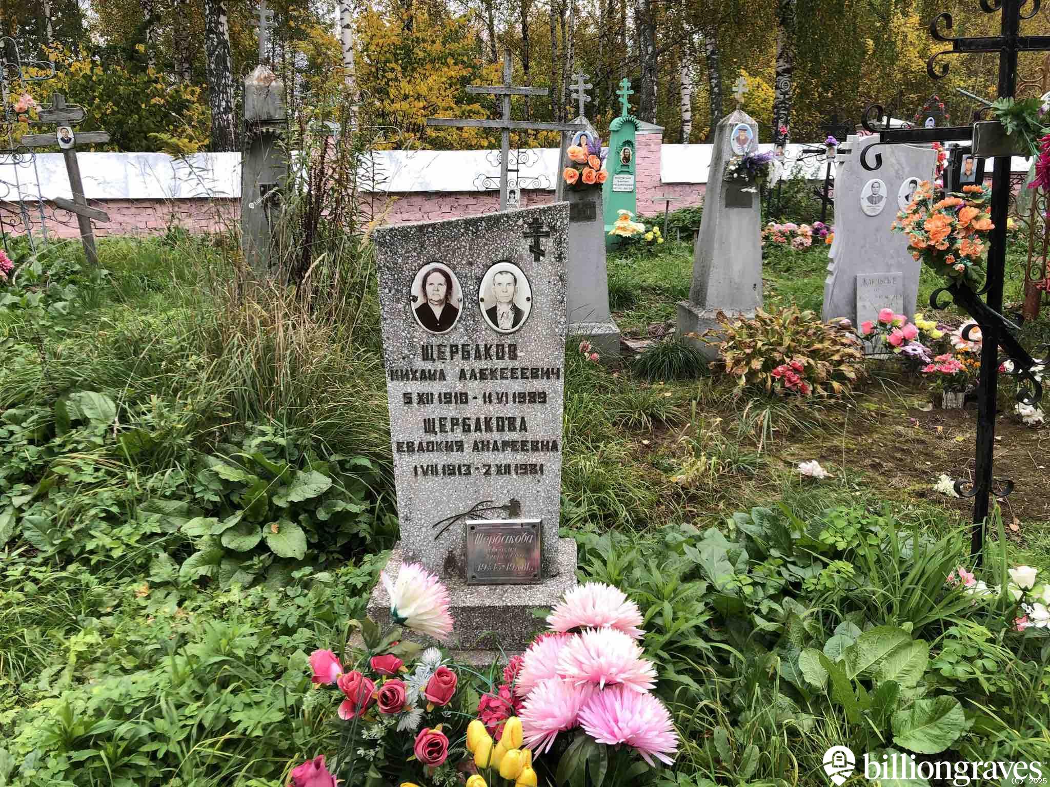 Щербаков Михаил Алексеевич