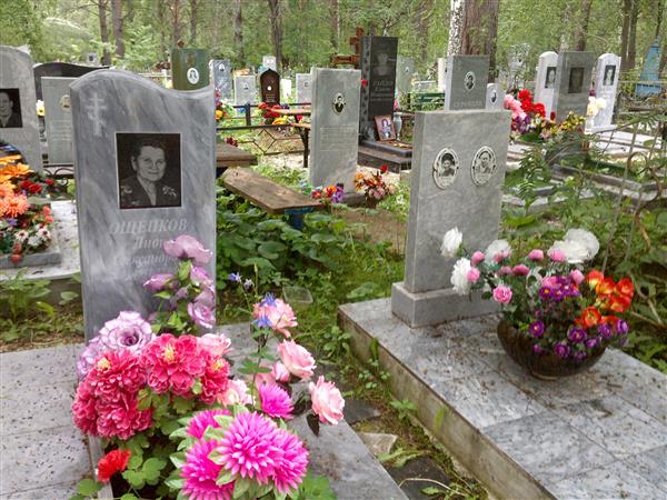 Чикишева Дарья Никитична