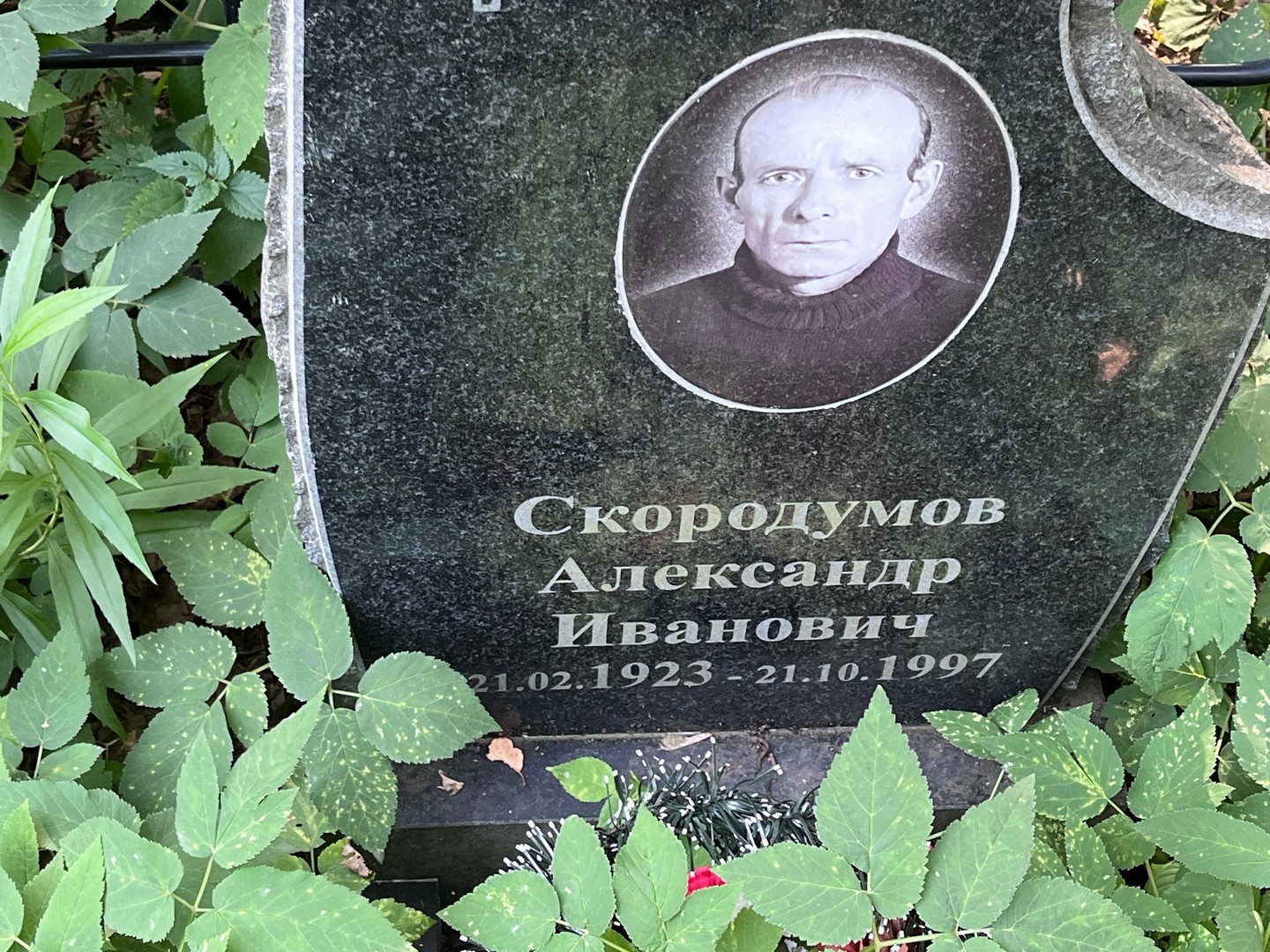 Скородумов