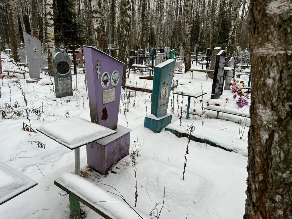 Чернов Илья Юрьевич