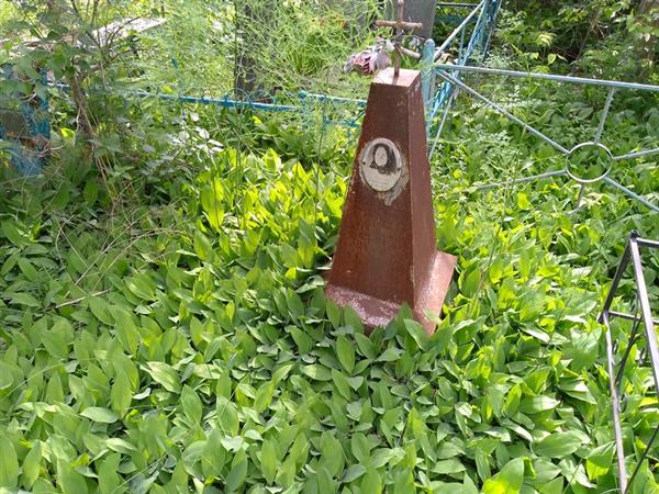 Перлухина Анна Николаевна