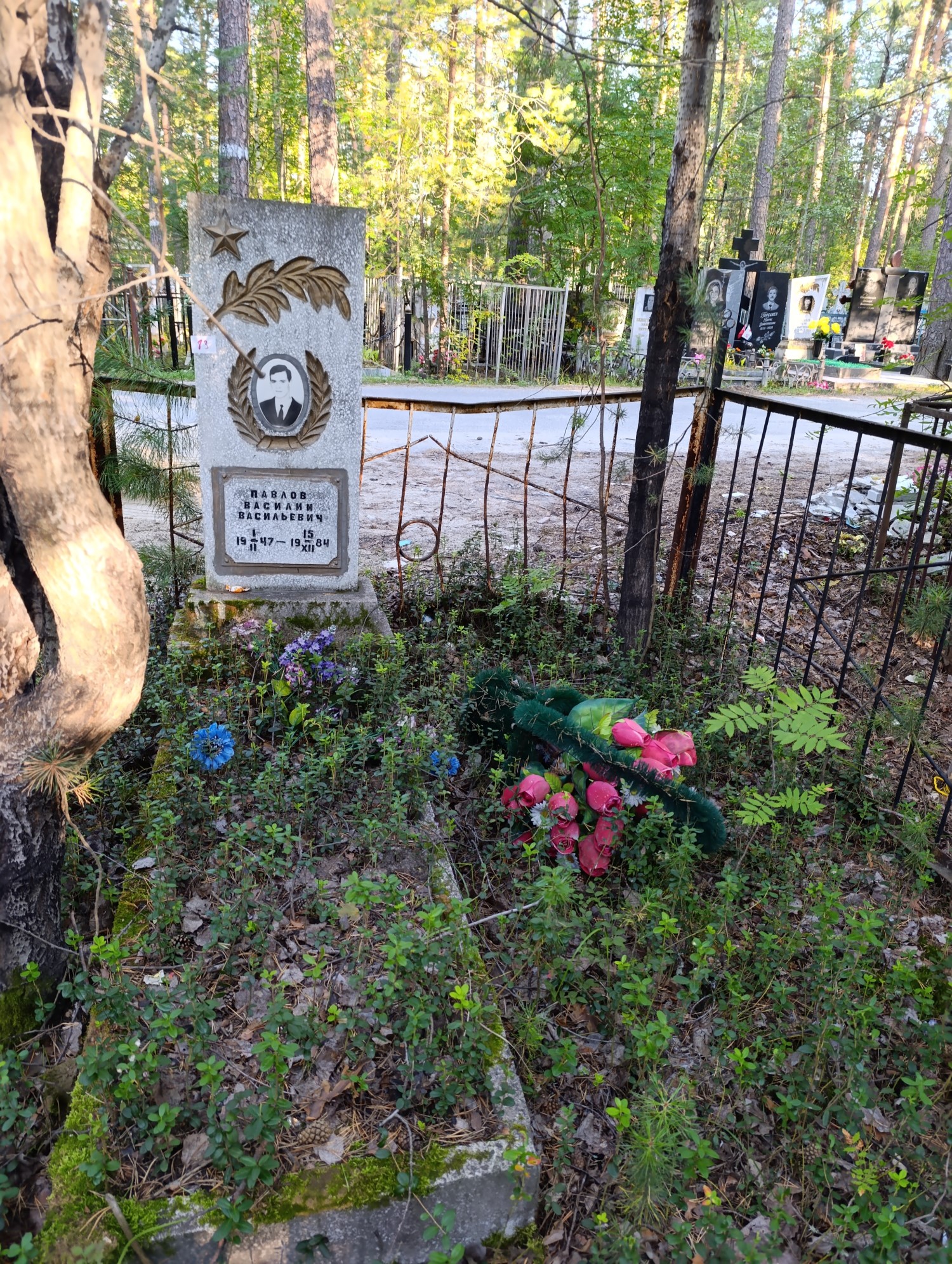 Павлов Василий Васильевич