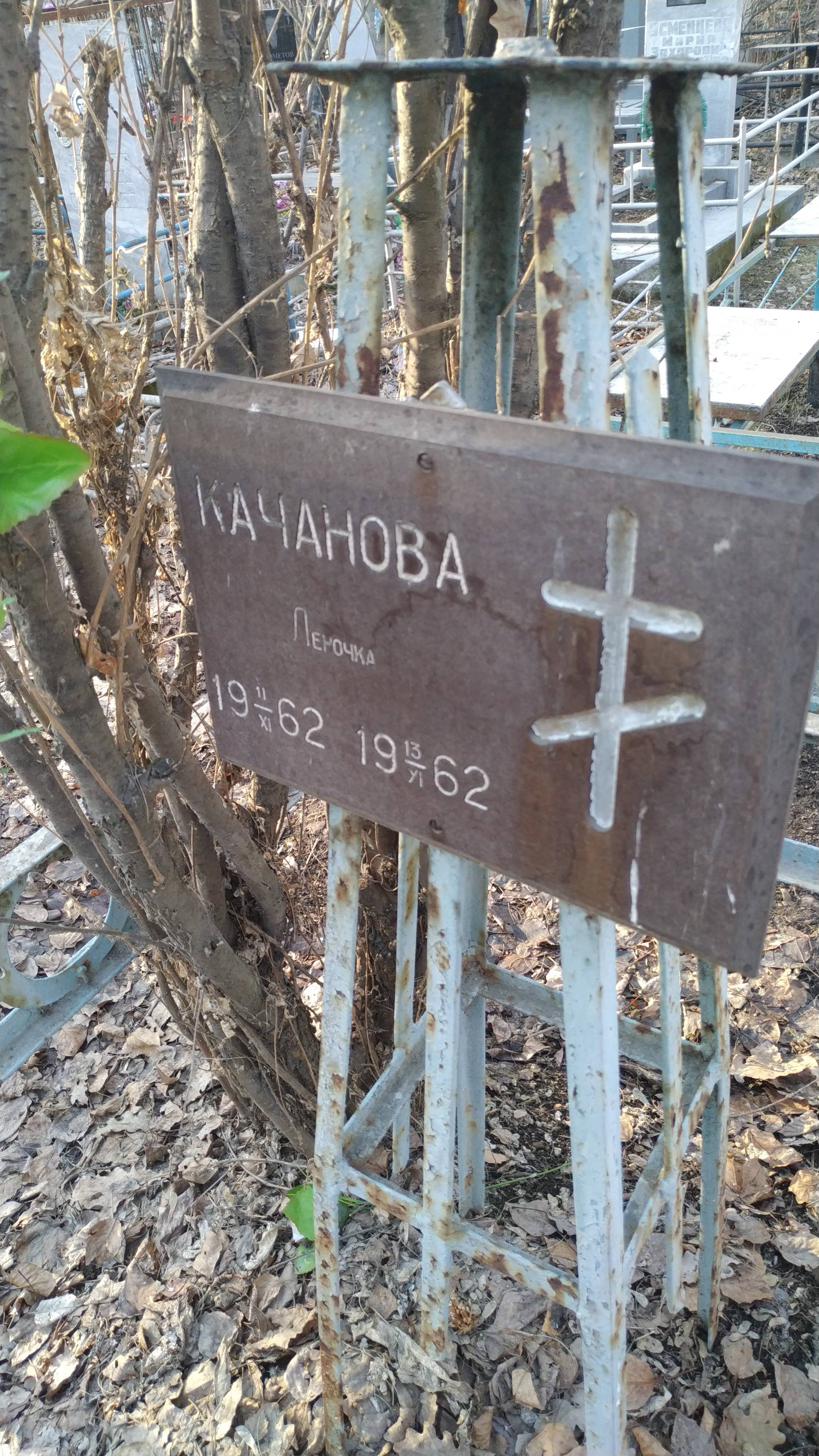 Качанова Елена