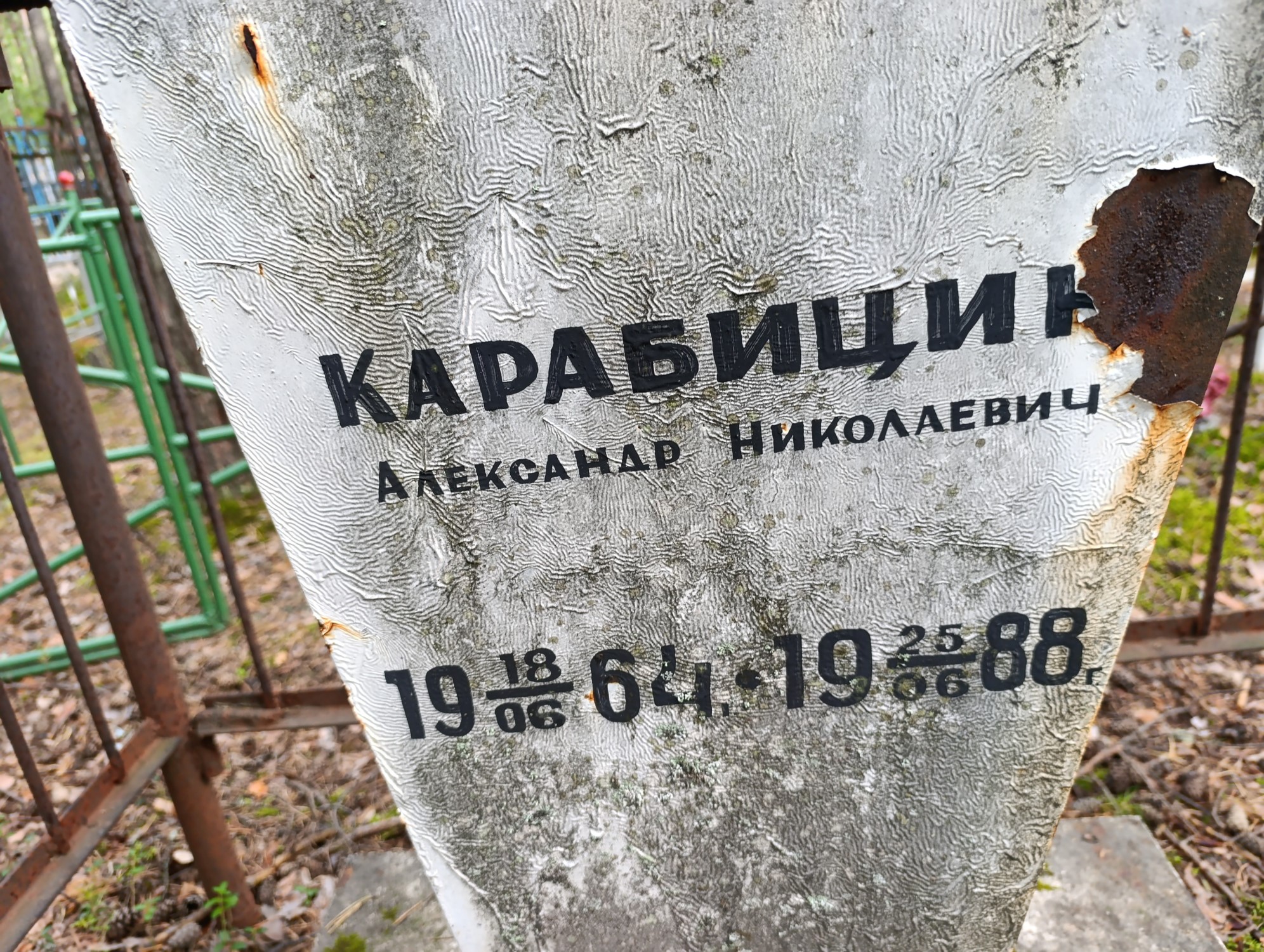 Карабицин Александр Николаевич